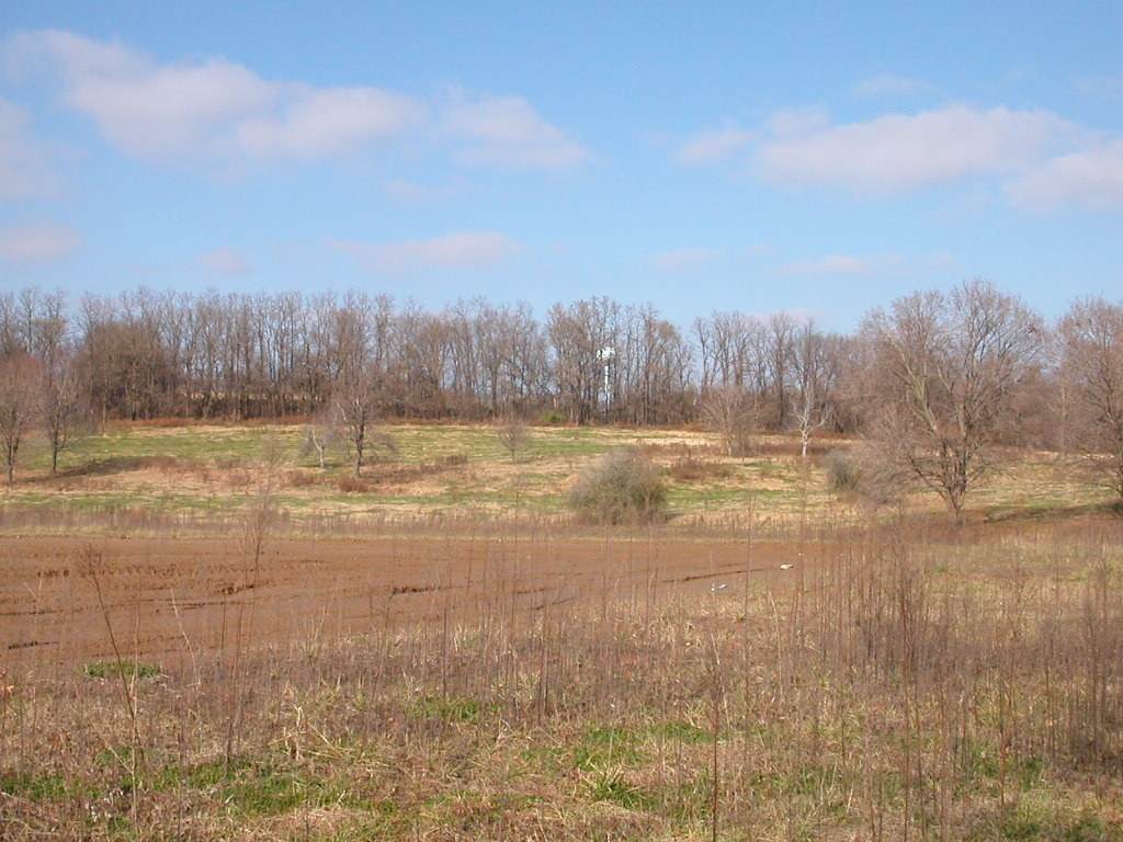 TRACT A-1 385 ASHLEY RD - Photo 1