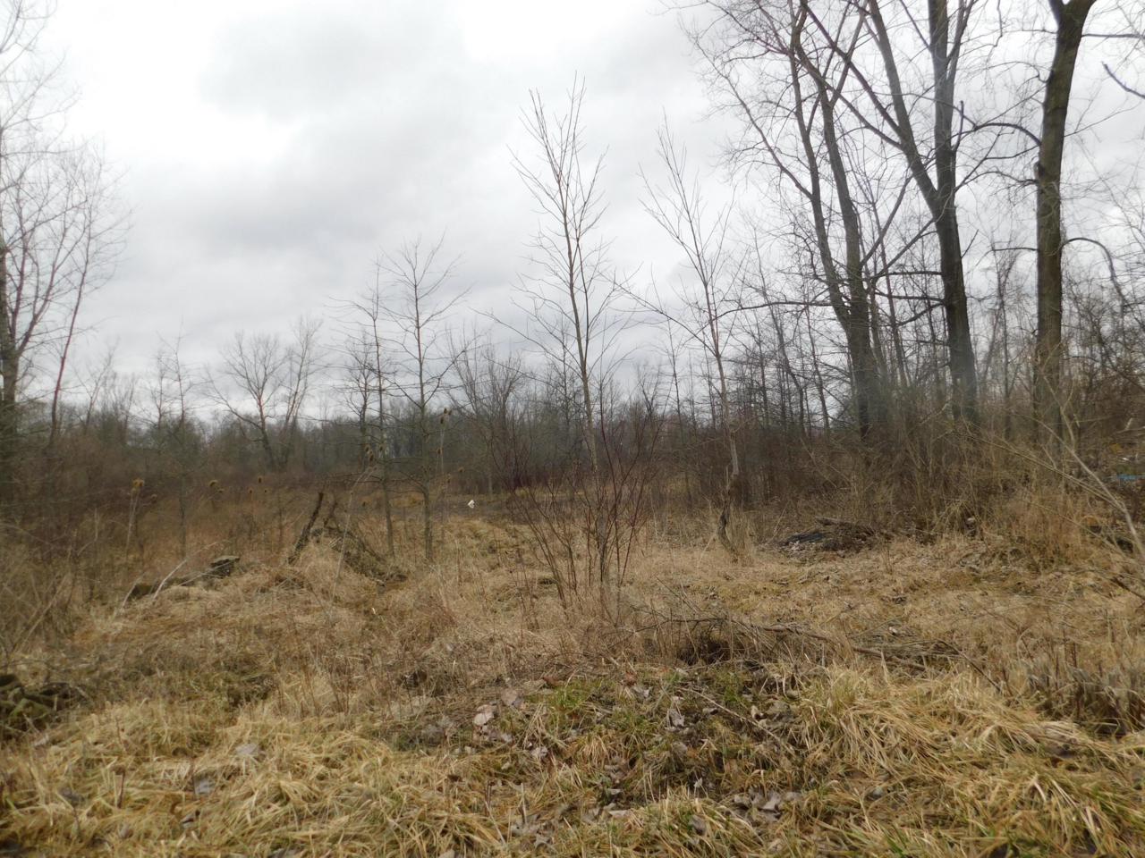 0 Connor Avenue - Photo 1