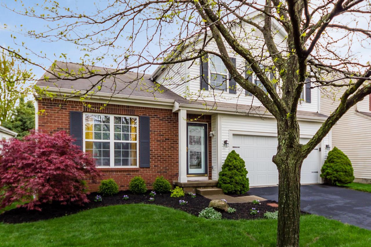 8484 Arlen Drive - Photo 1