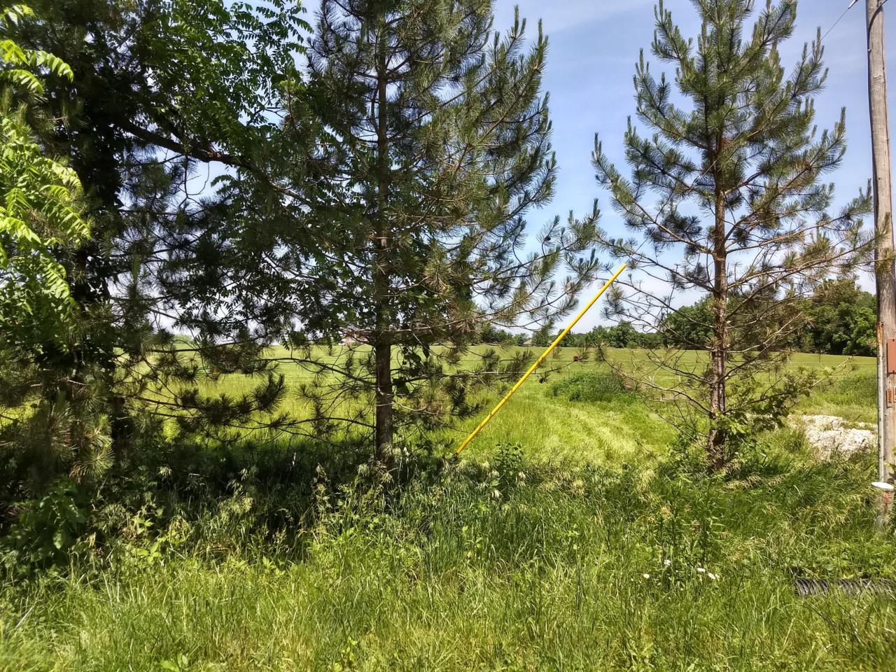 25230 Darby Pottersburg Road - Photo 1