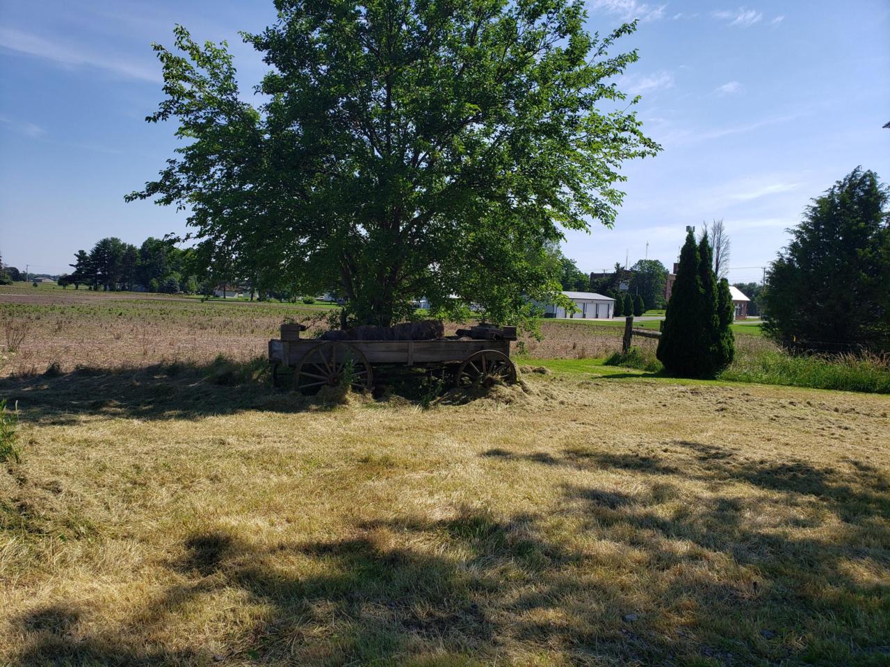 8064 Charles Street - Photo 1
