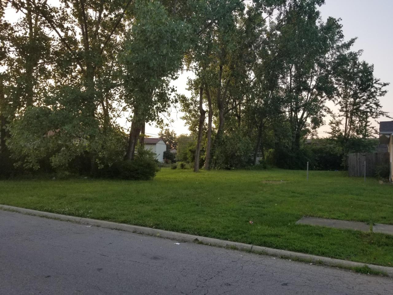 0 Birchview Drive - Photo 1