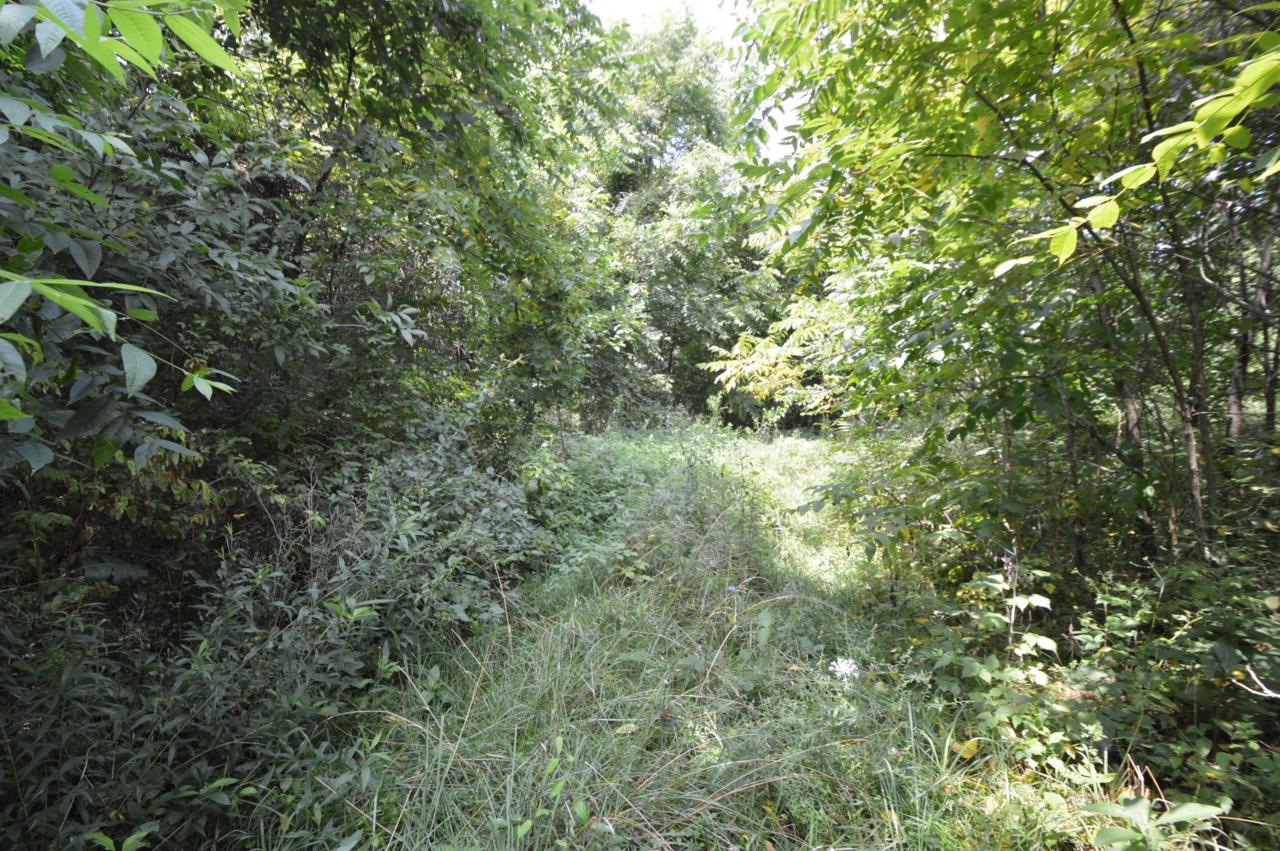 9225 Carroll Northern Road - Photo 1