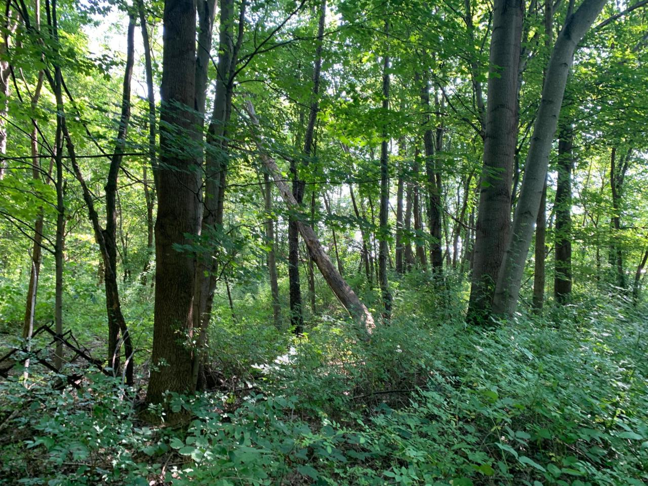 0 Scott Road - Photo 1