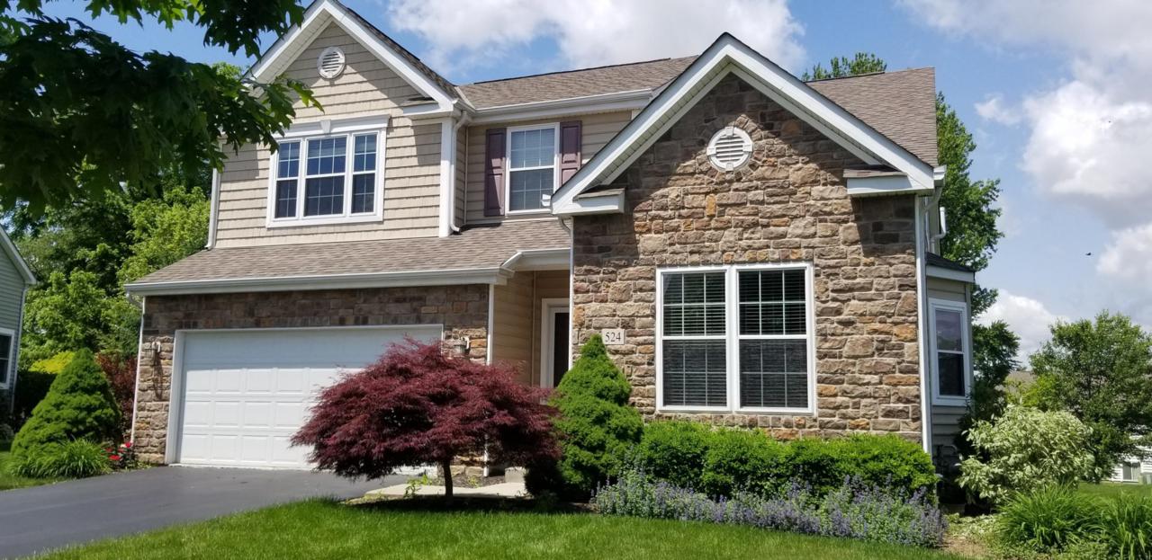 524 Apple Valley Circle - Photo 1