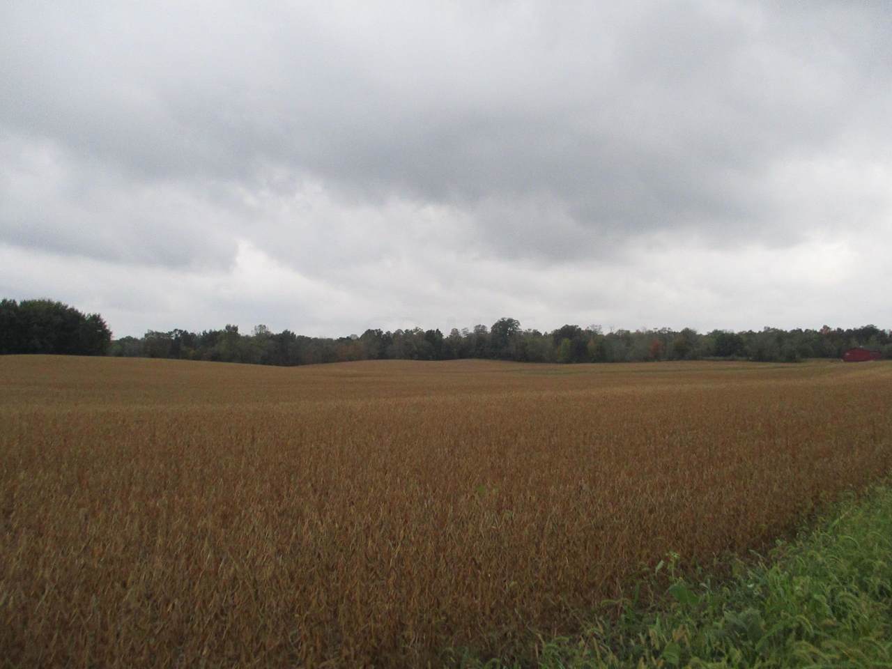 0 Township Road 183 - Photo 1