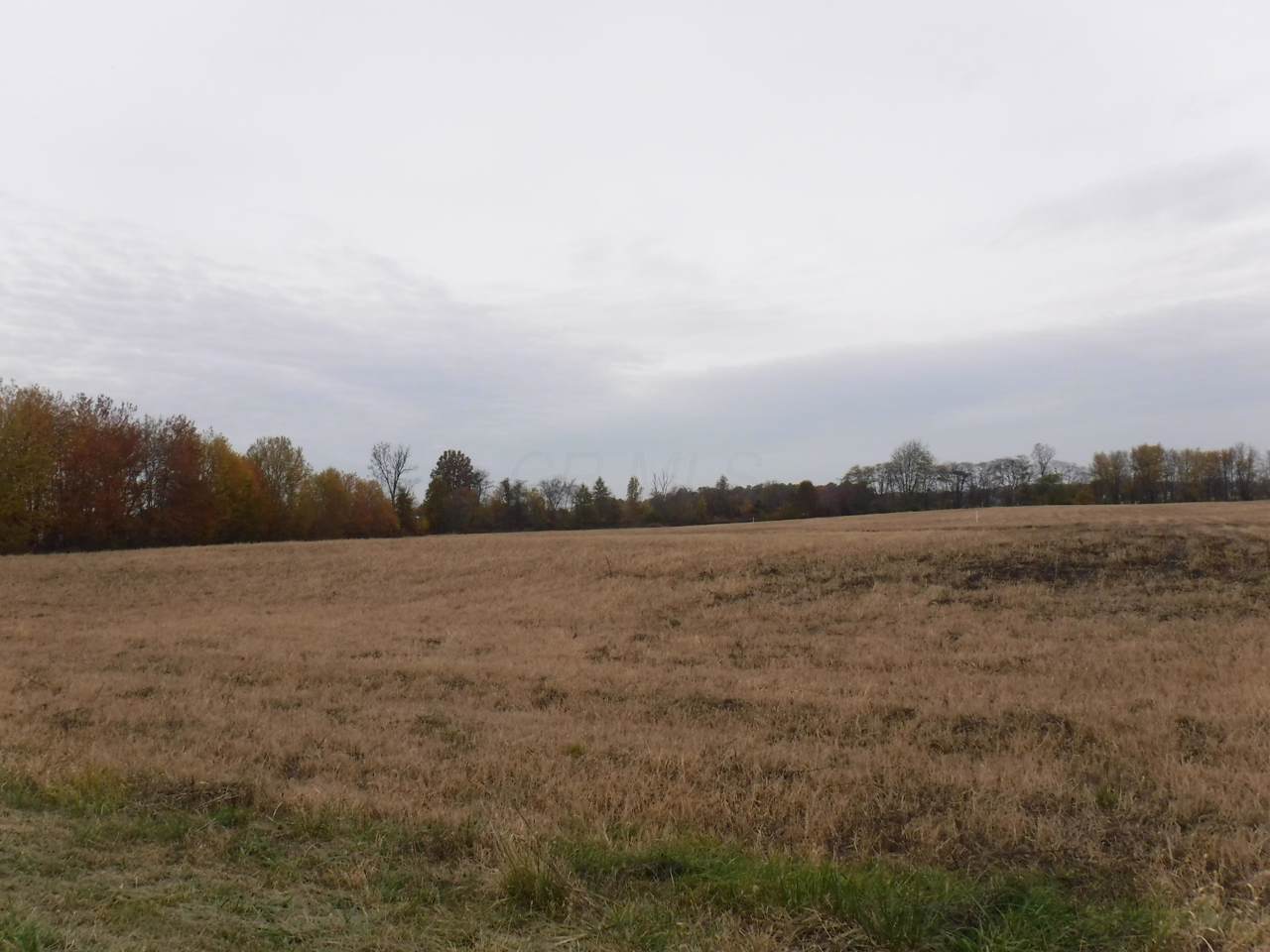 0 Degood Road - Photo 1