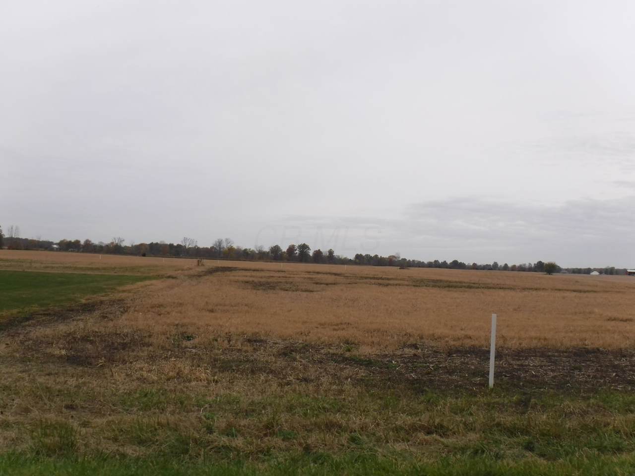 0 Brindle Road - Photo 1