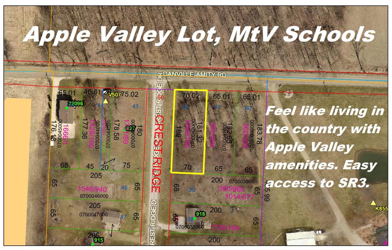0 Danville-Amity Road Road - Photo 1