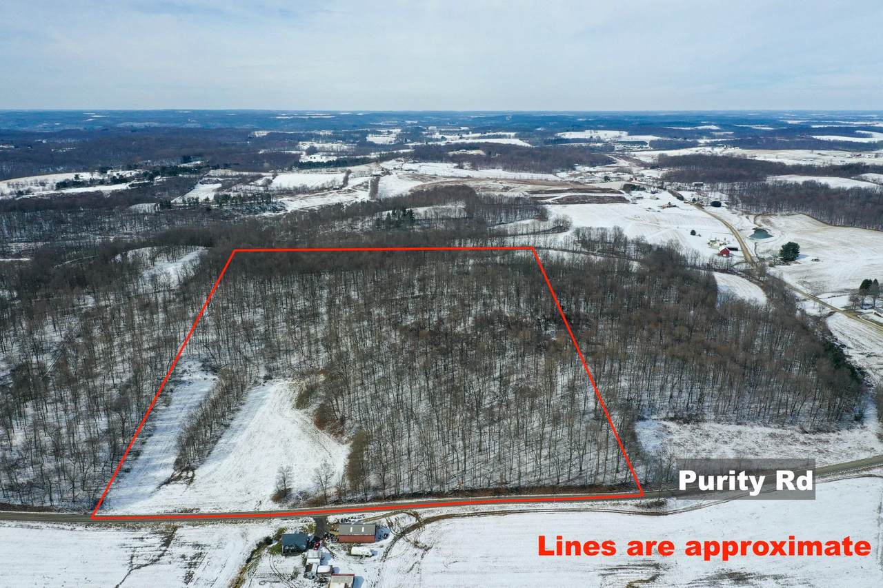 0 Purity Rd Road - Photo 1
