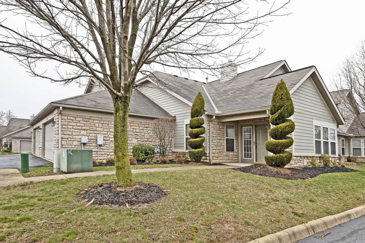 5305 Knotting Woods Drive - Photo 1 5305 Knotting Woods Drive - Photo 1