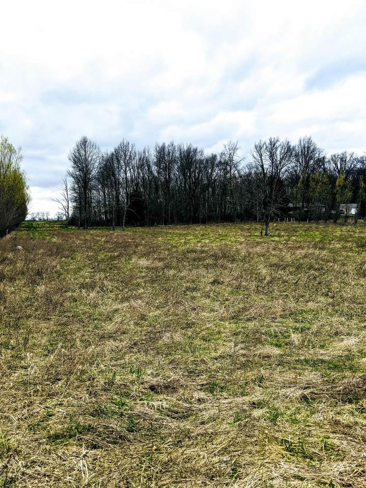 22550 Buck Allen Drive - Photo 1 22550 Buck Allen Drive - Photo 1
