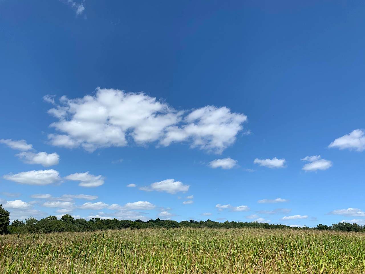 7100 River Road - Photo 1