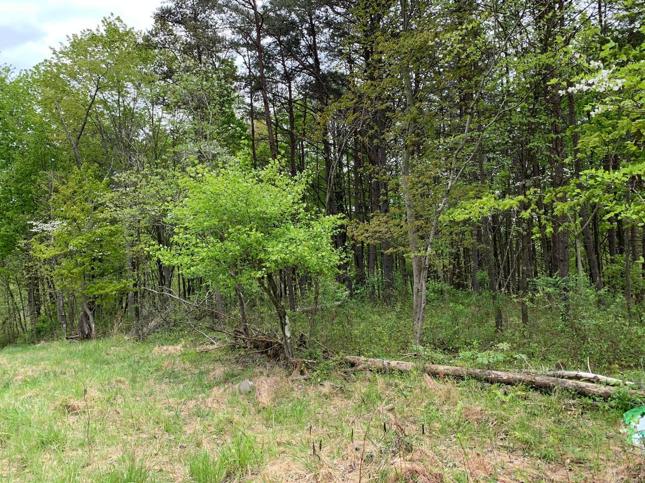 1858 Teton Lane - Photo 1 1858 Teton Lane - Photo 1