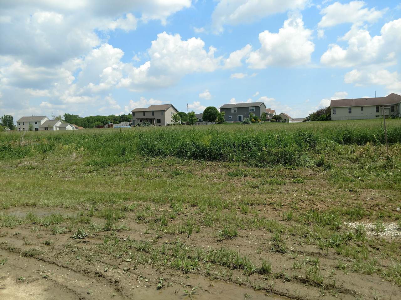 3300 Cobblestone Creek Road - Photo 1