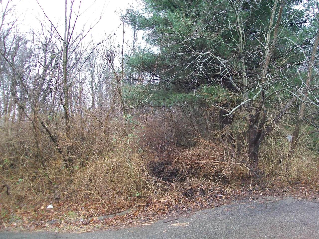 0 Walnut Street - Photo 1