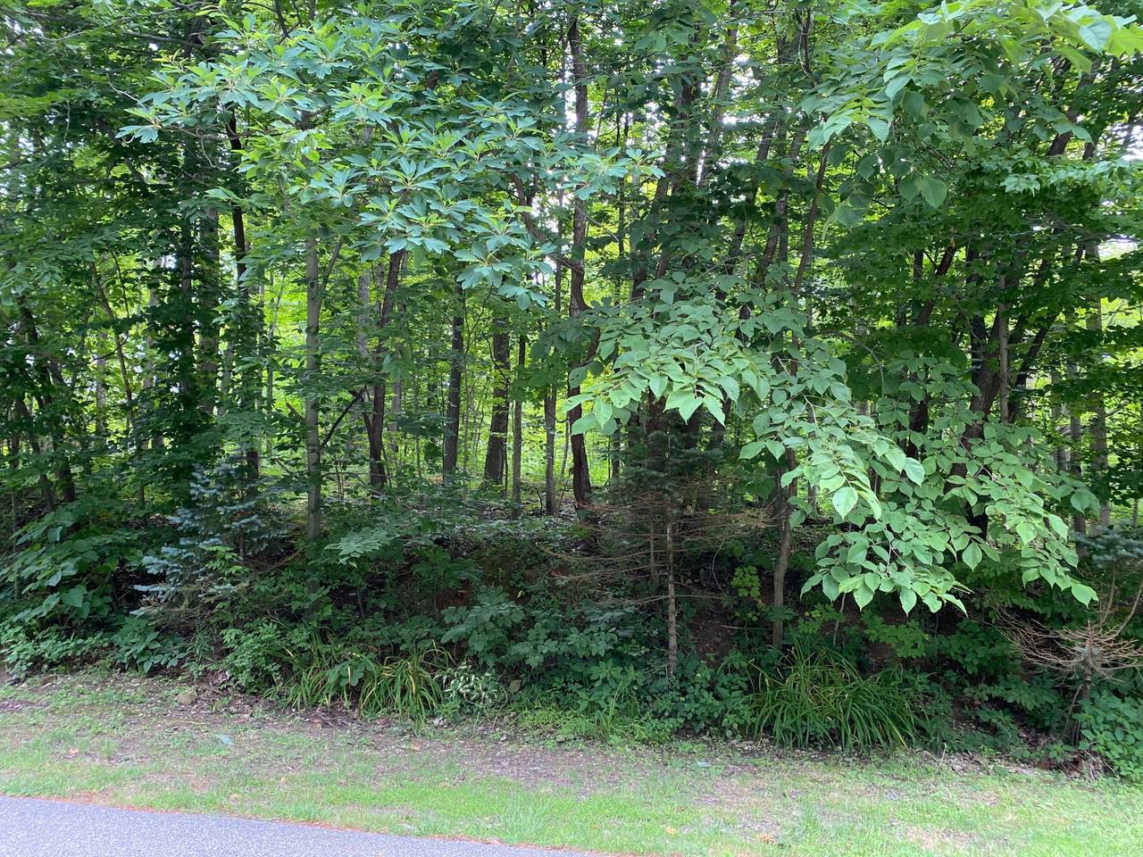 0 Challedon Circle - Photo 1
