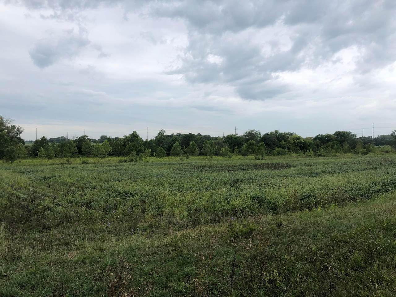 0 State Rd 56 - Photo 1
