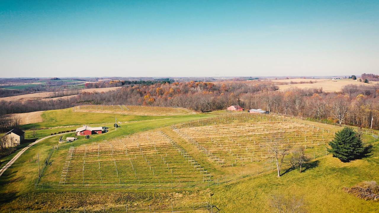 16719 County Road 436 - Photo 1