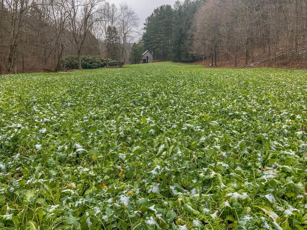 0 Meadow Run Road - Photo 1