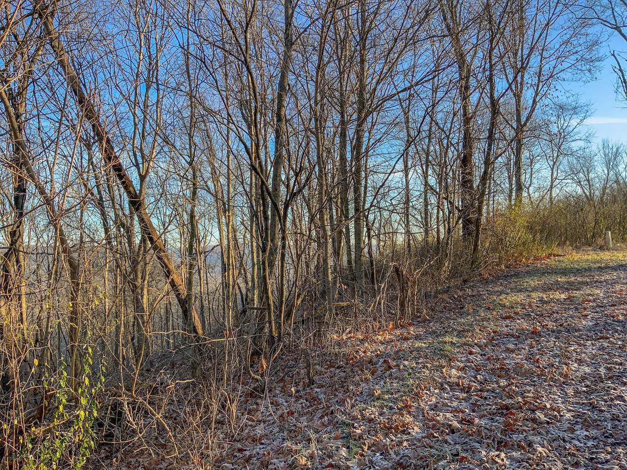 0 Drake & Martin Road - Photo 1