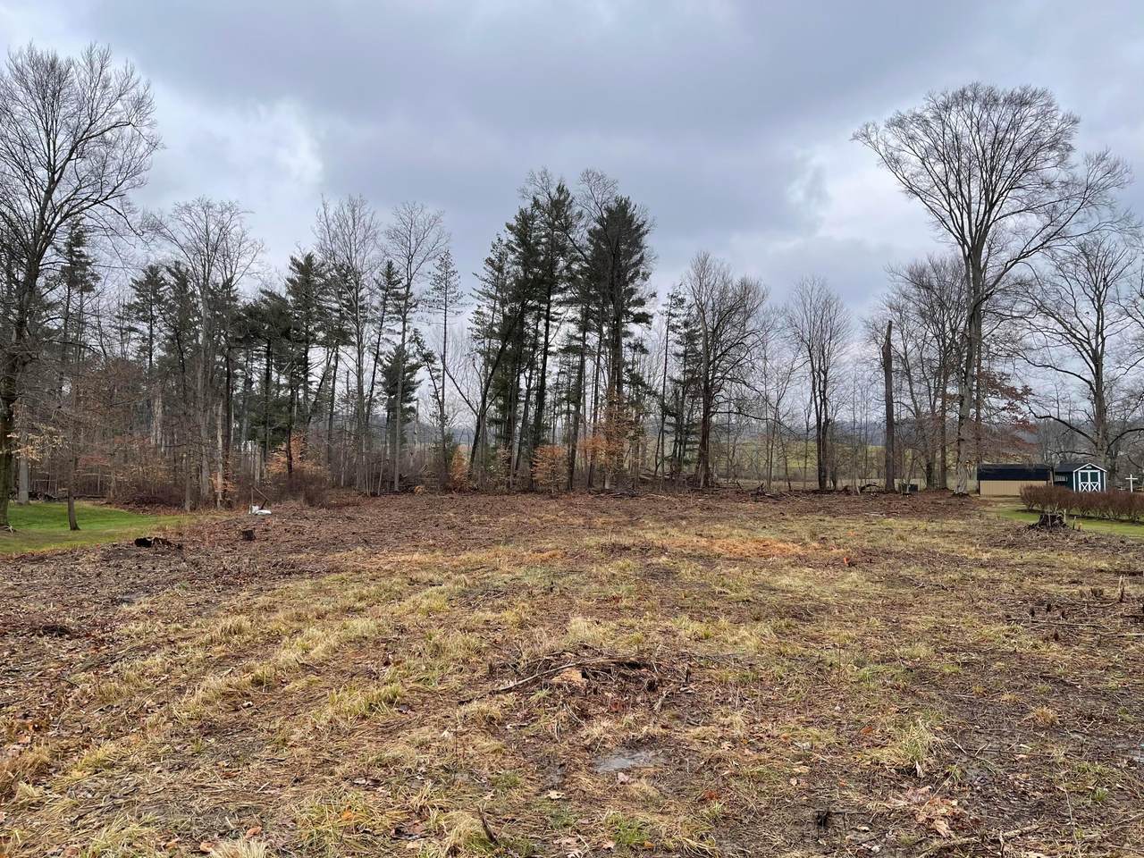 2640 Red Fox - Photo 1