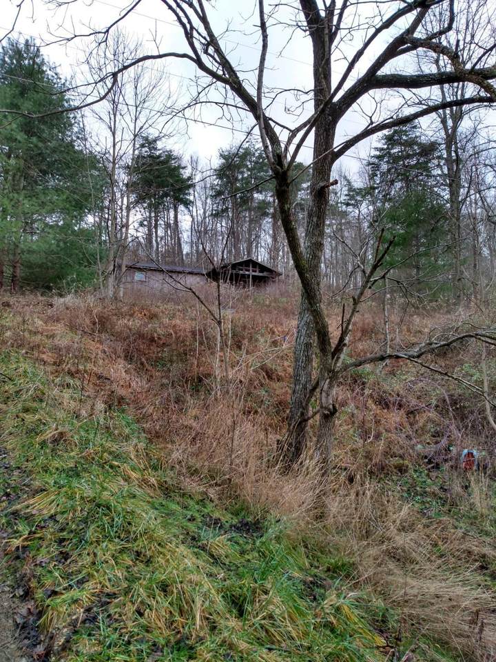 1624 Railroad Hollow Road - Photo 1