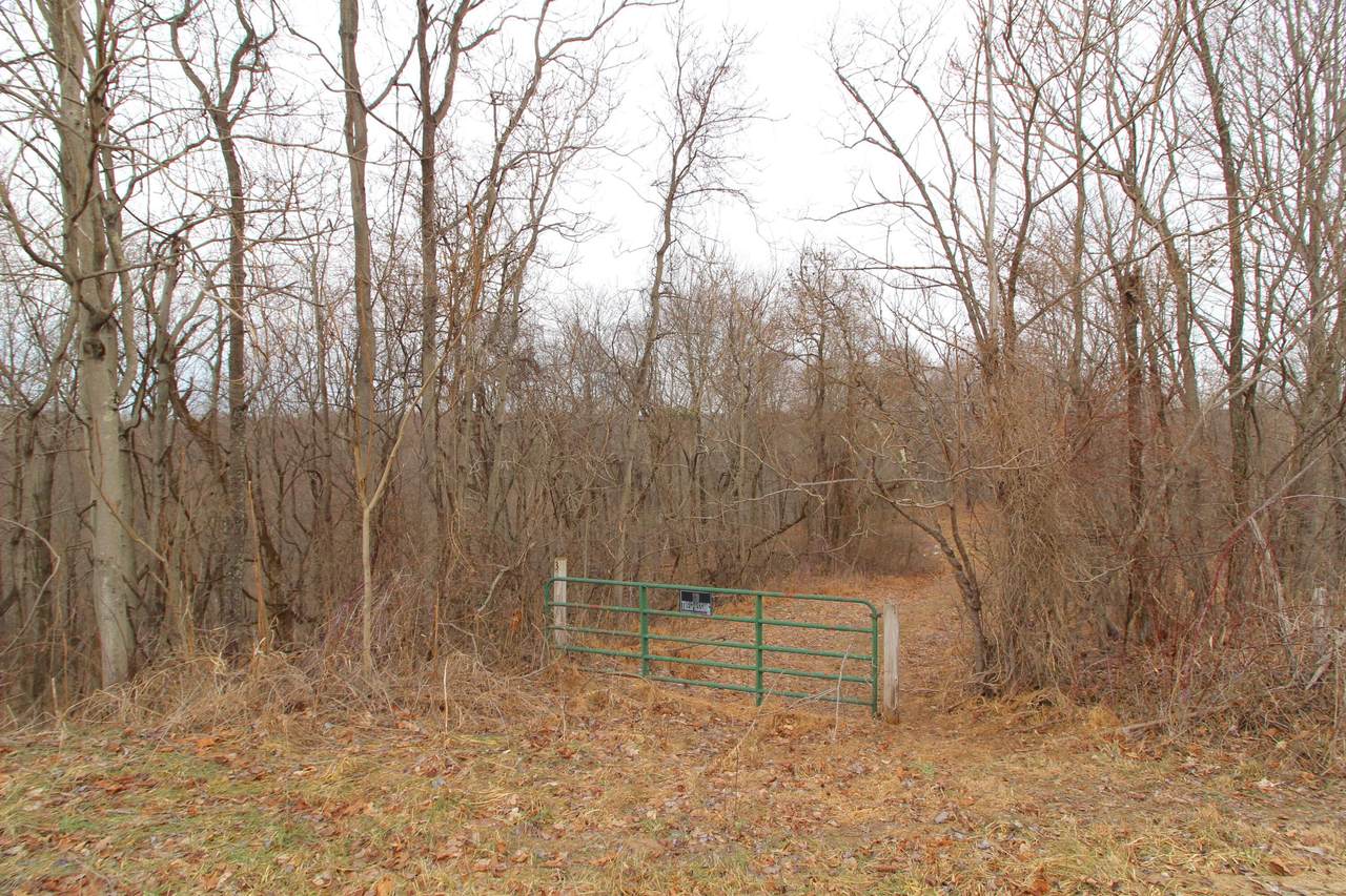 0 Shay Ridge Road - Photo 1