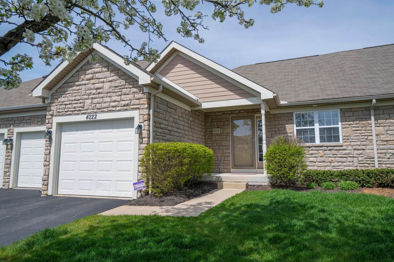 4222 Scenic View Drive - Photo 1