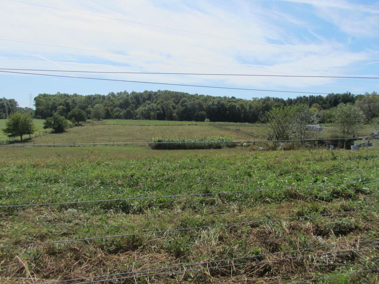 12500 New Delaware Road - Photo 1