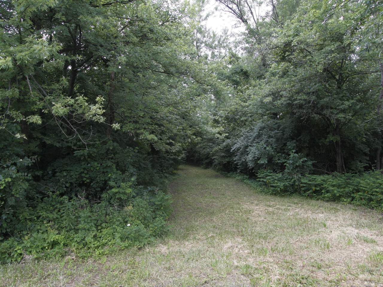 0 17th Avenue - Photo 1