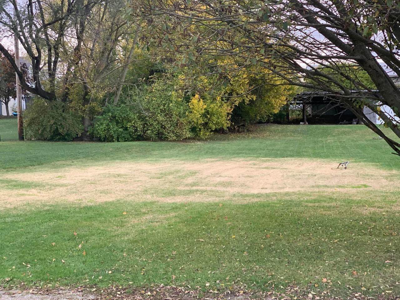 726 Briar Avenue - Photo 1