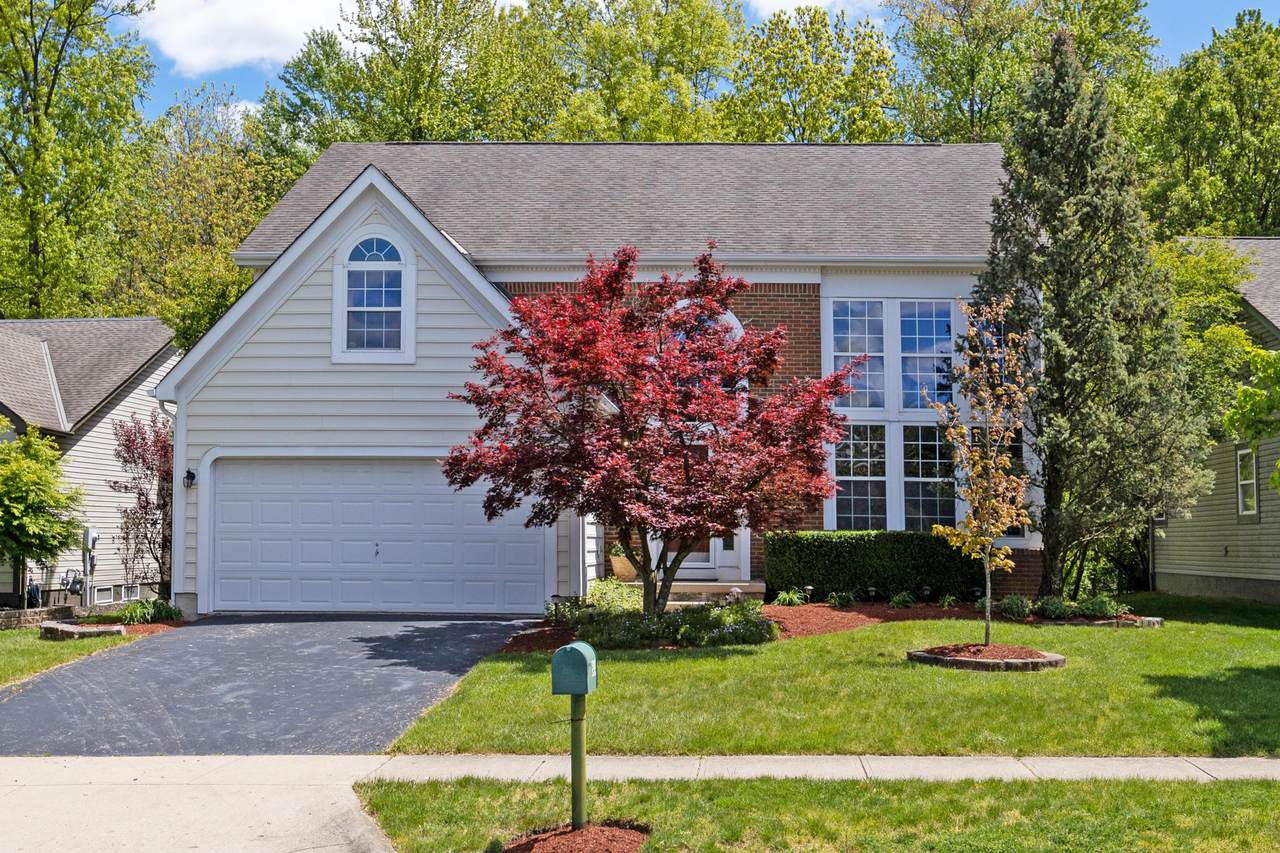 5414 Bullfinch Drive - Photo 1