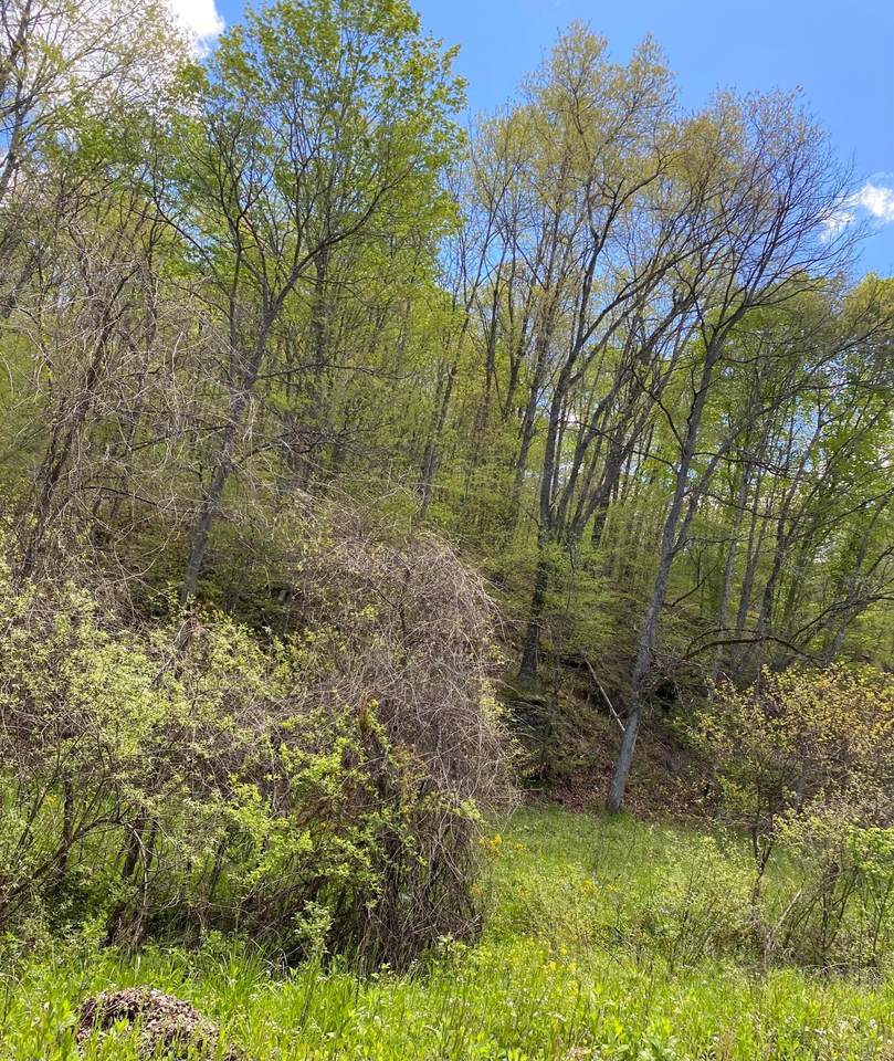 1345 Walters Road - Photo 1