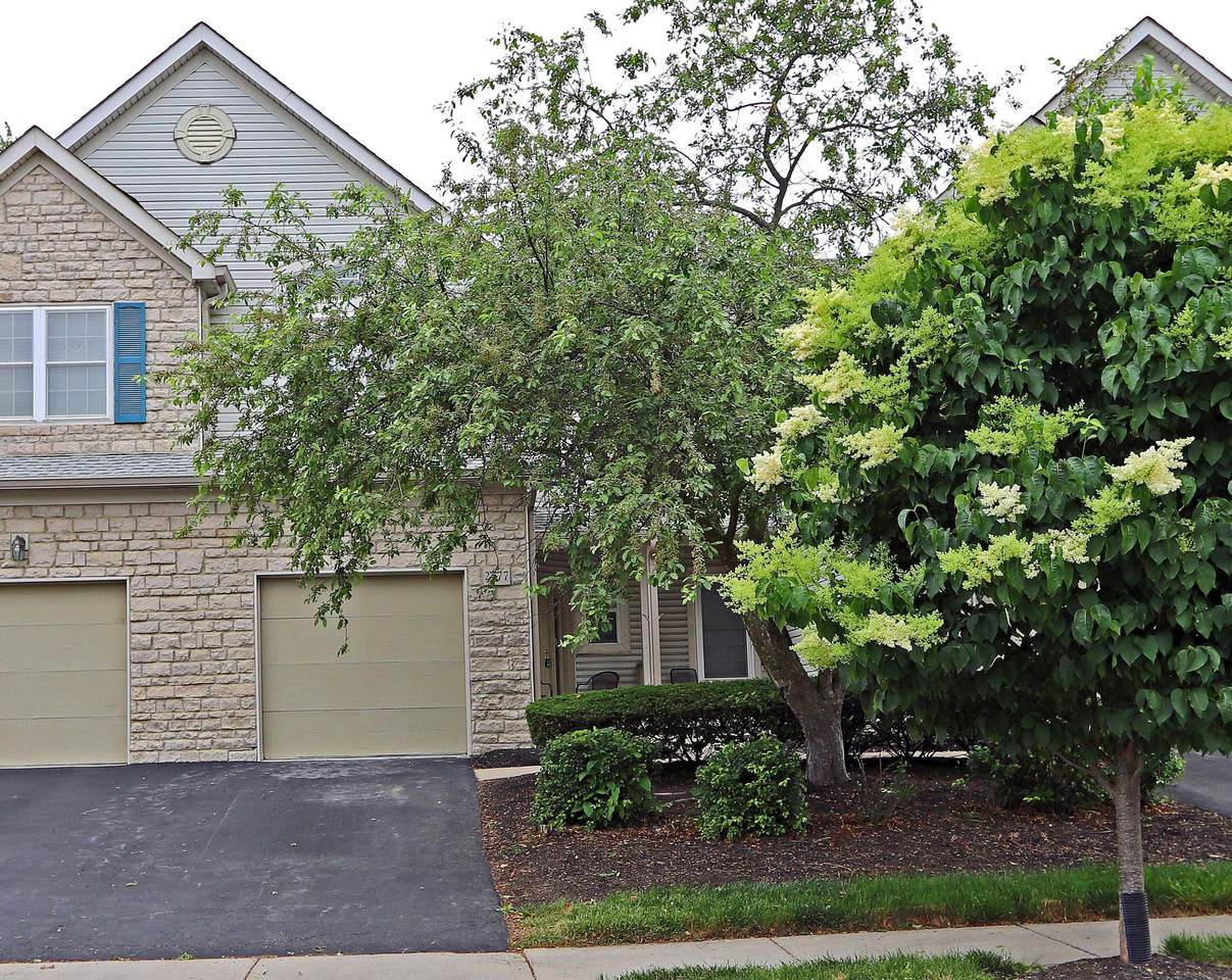 2577 Rustling Oak Boulevard - Photo 1