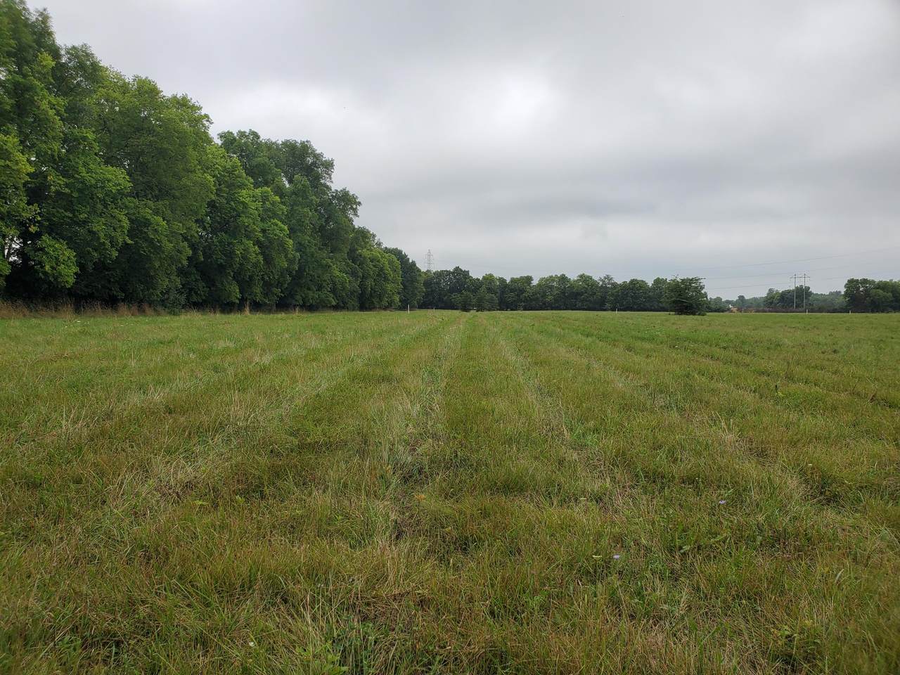 0 Freshwater Road - Photo 1