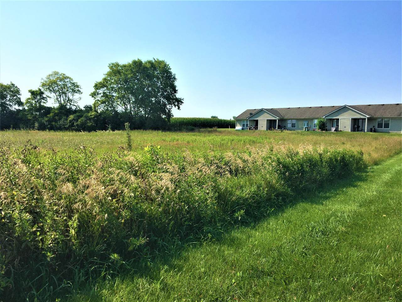 0 Walnut Street Road - Photo 1