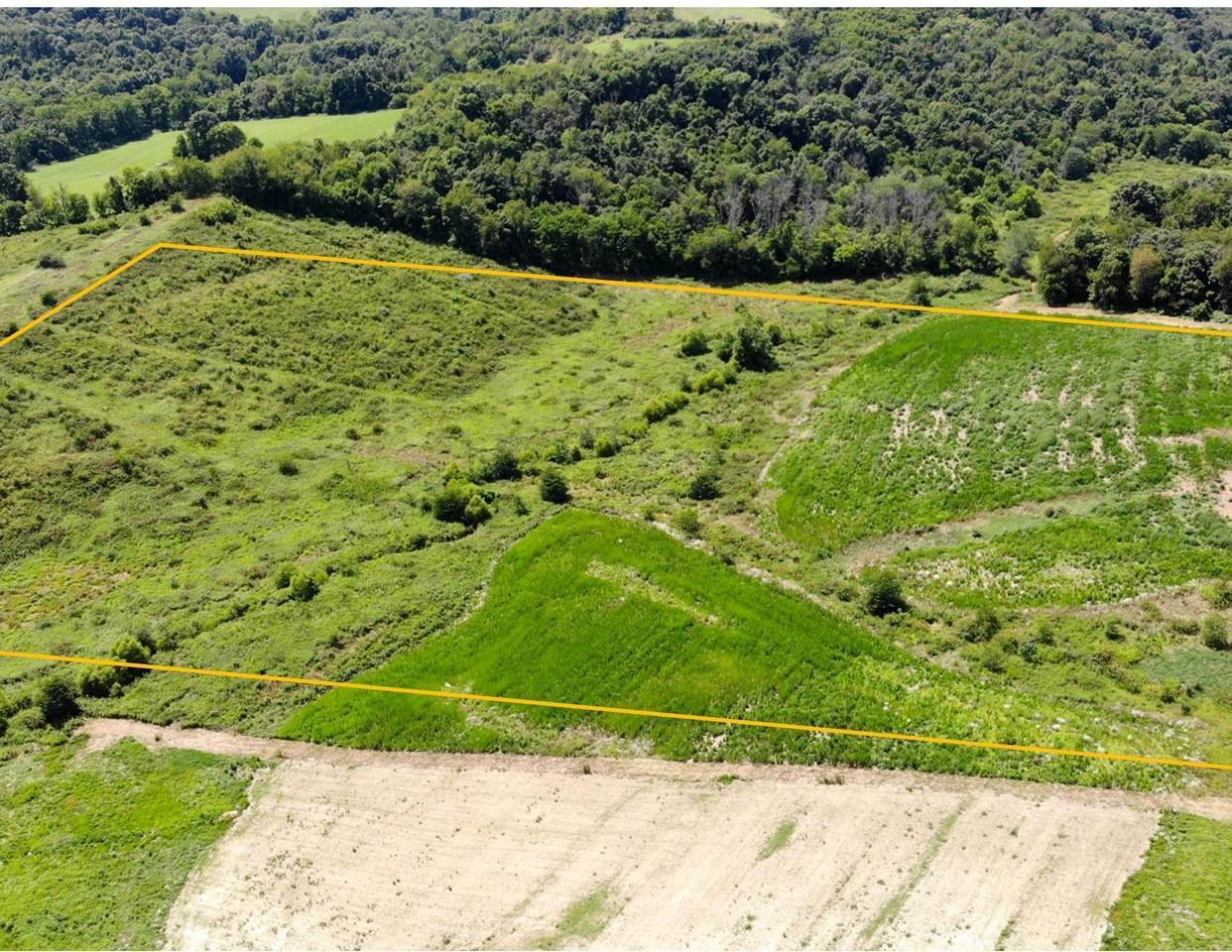0 Perine Rd- Lot Y Road - Photo 1