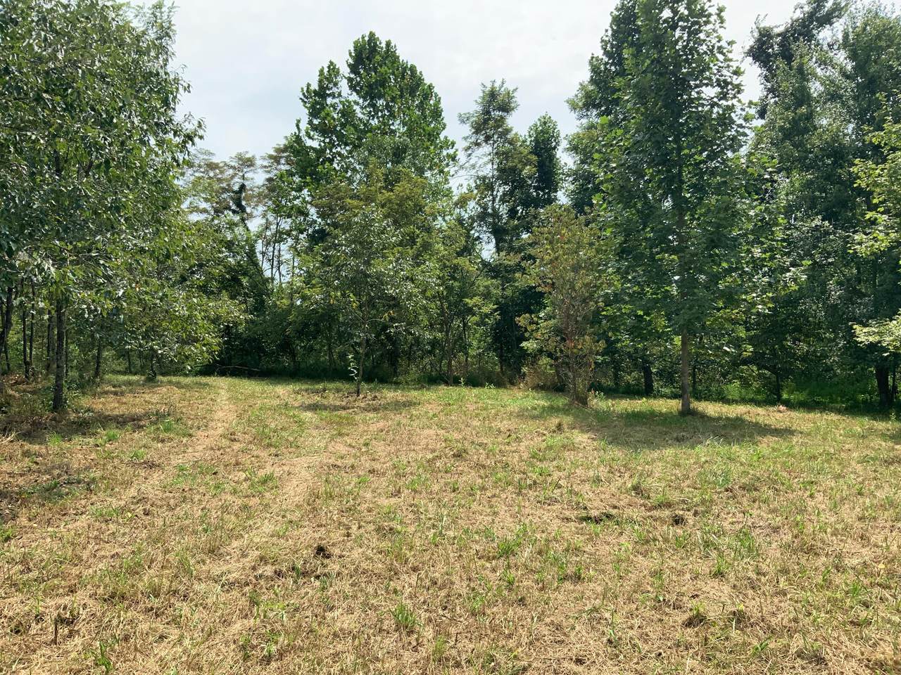 0 Friendly Ridge Road - Photo 1