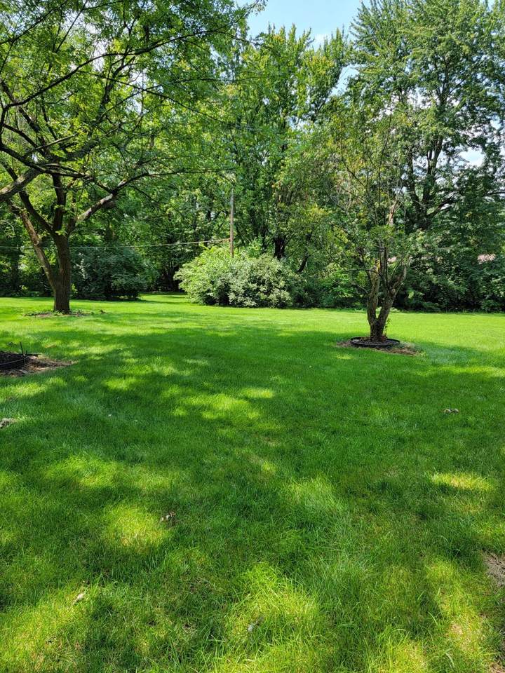 3125 Lilly Mar Court - Photo 1