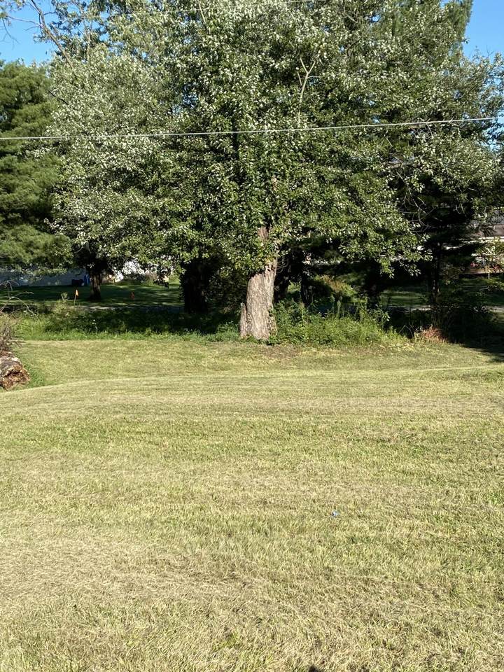 (Lot 2) 99 King Avenue - Photo 1