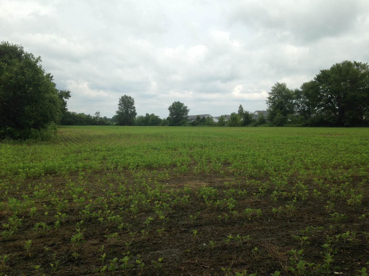 0 Bowtown Road - Photo 1