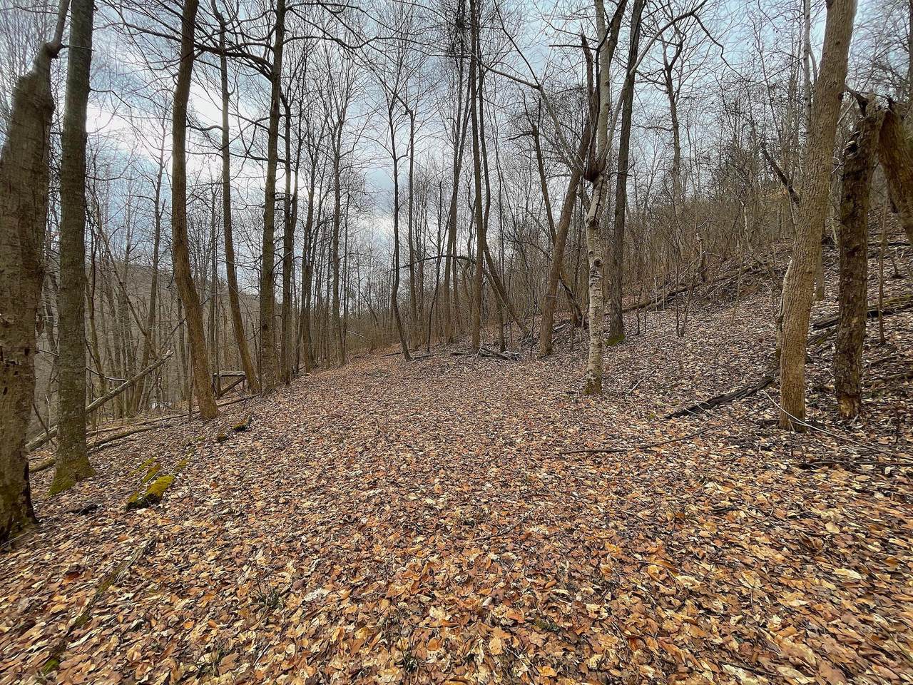 0 Pond Run Road - Photo 1