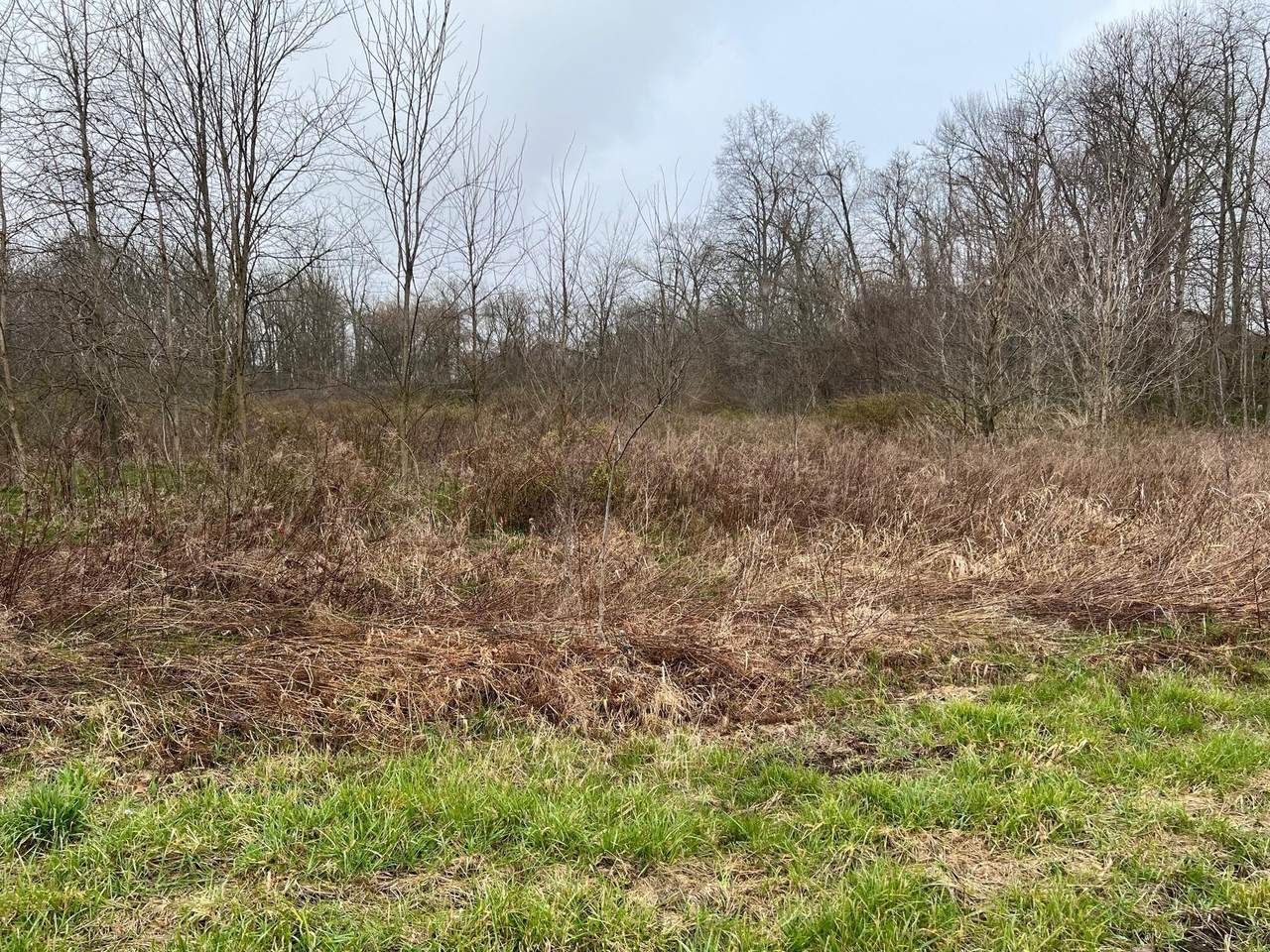 14511 Phillips Lane - Photo 1