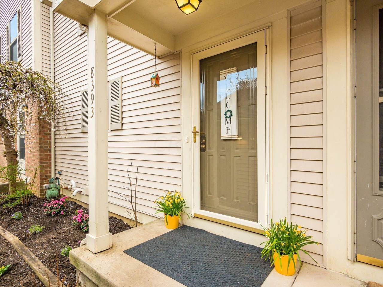 8393 Cliffthorne Way - Photo 1