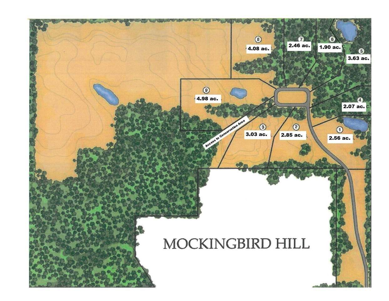 Lot 5 Mockingbird Lane - Photo 1