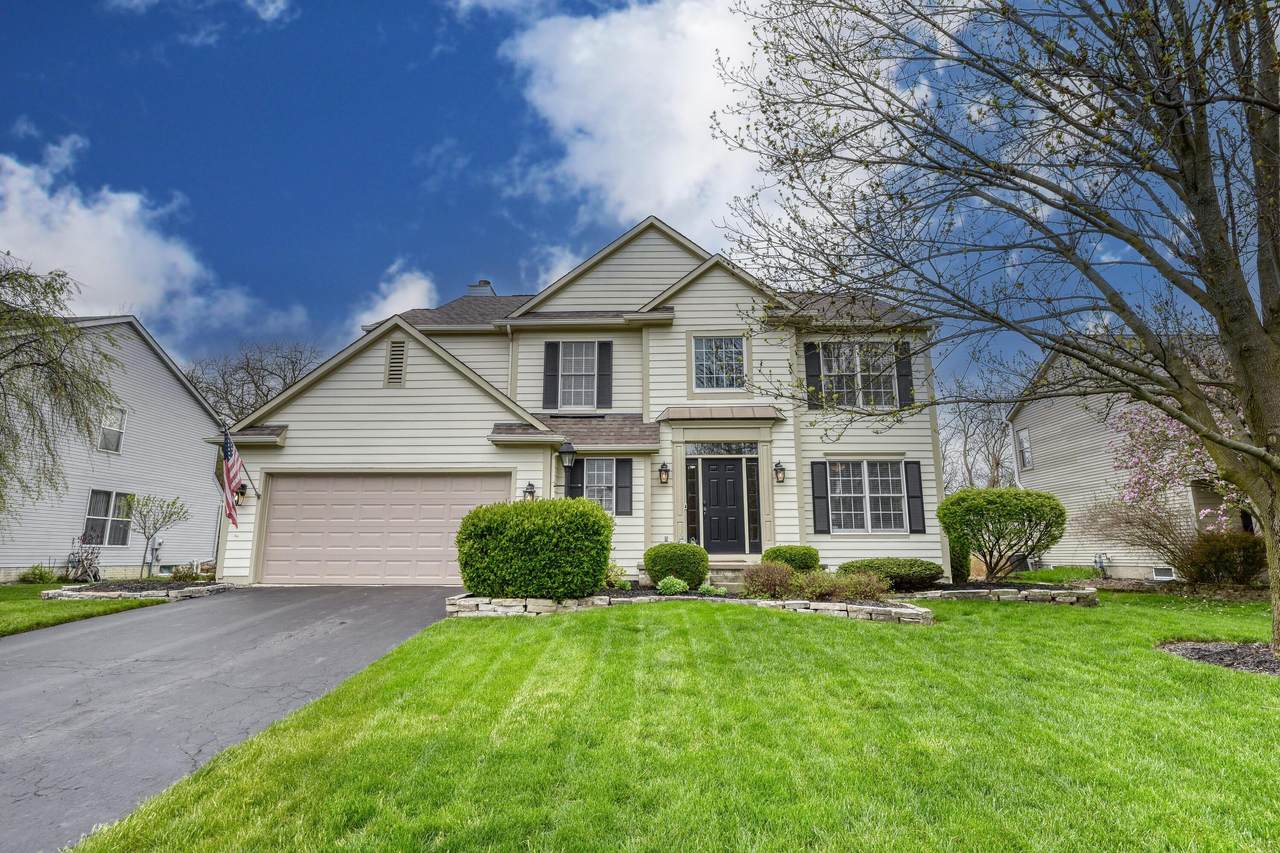 6635 Springview Drive - Photo 1