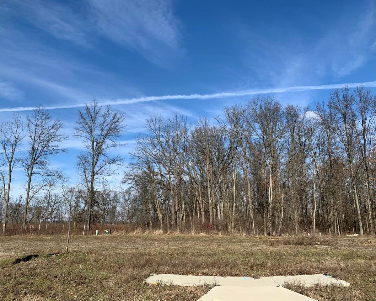 8156 Quail Ridge Drive - Photo 1