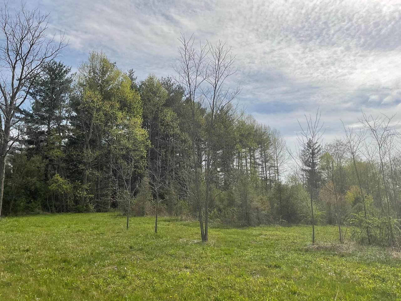 3222 Mainesville Road - Photo 1
