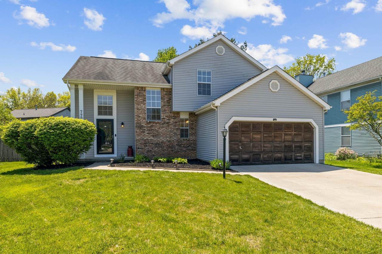 7771 Leaview Drive - Photo 1